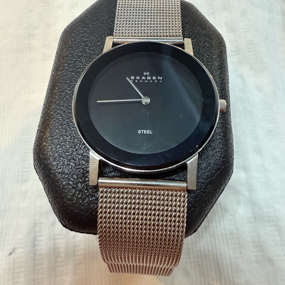 Skagen Black Dial with Silver Mesh Band Watch
